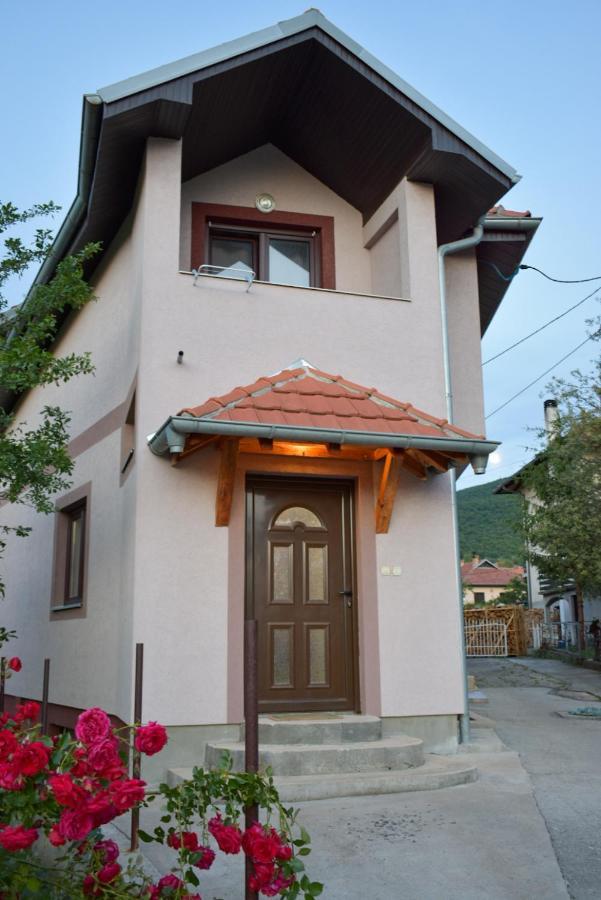 Apartman Jovana 索科矿泉村 外观 照片